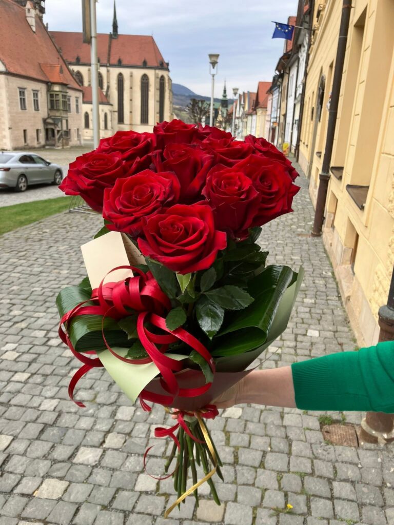 Domov 673478652 1591162479043332 7284623166489538462 n